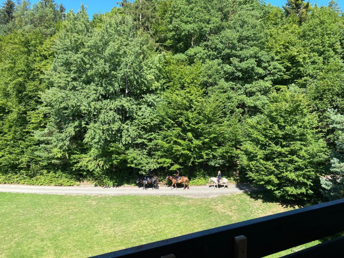 Apartman Na Kraji Lesa Všemina 外观 照片